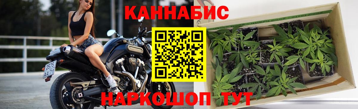 Канабис Amnesia Клин